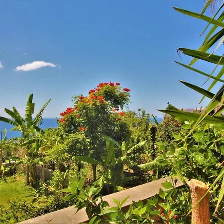 Διαμέρισμα With Very Big Garden Near Beach